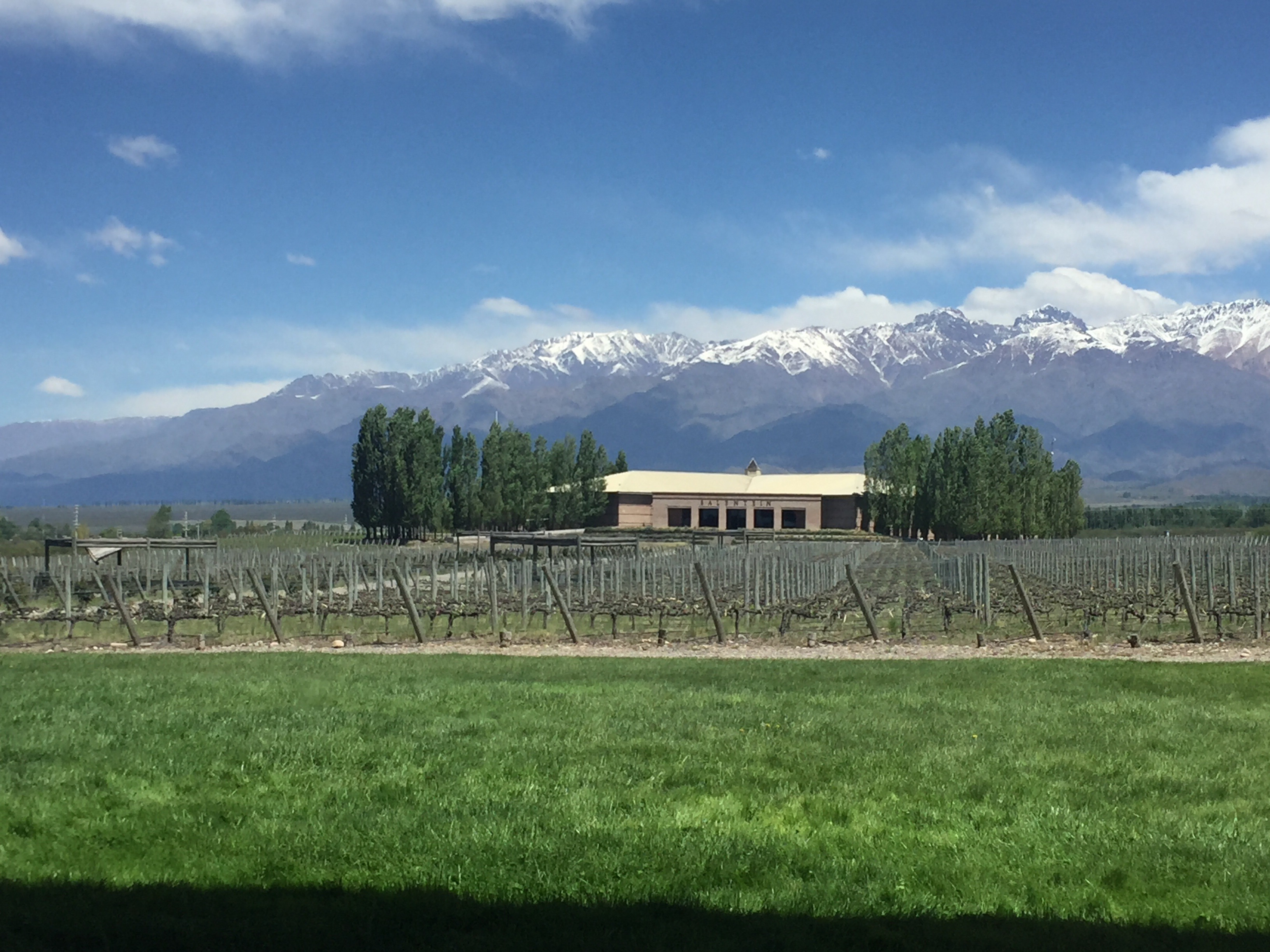 img 8809 1 - Paseando por la Bodega Salentein en Mendoza