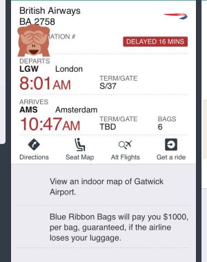 IMG 0321 300x380 - Vuelo de Londres (Gatwick) a Amsterdam por British Airways